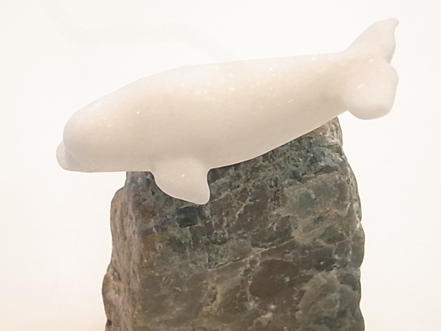 CA00035F�����륫�������С��ͥե饤�ȡ�