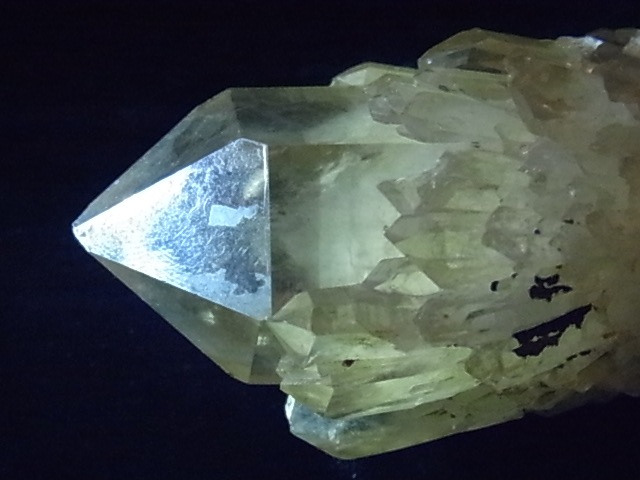 GKM0019F��ŷ�����ȥ�󥫥ƥɥ�롡����