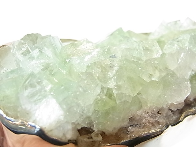 PA00079K�����꡼�󥢥ݥե��饤�ȡ����С��ڥ����ȥȥå�