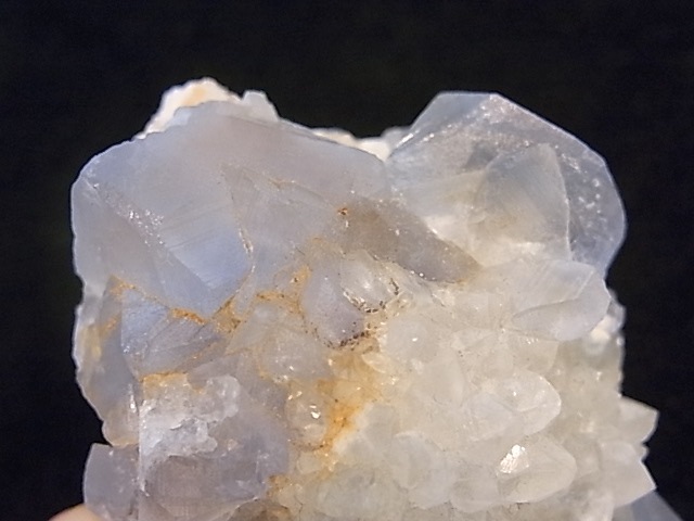 GA00128F���֥롼�ե����饤�ȡ�����