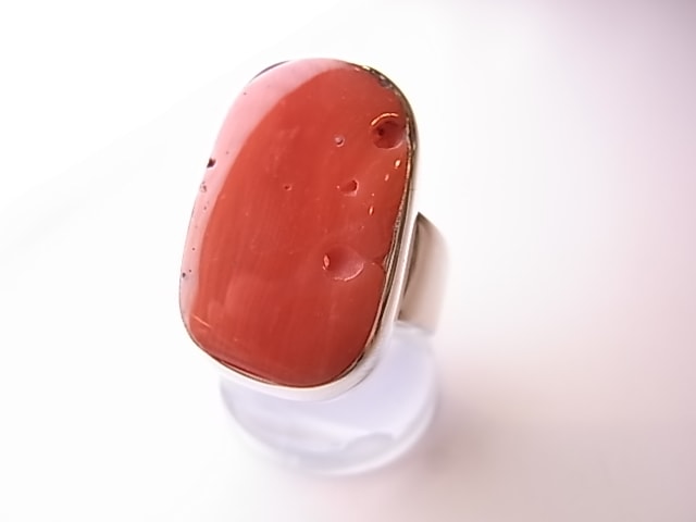 RA00088F����åɥ�����롡����С����