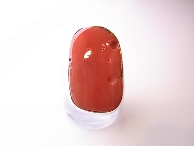 RA00088F����åɥ�����롡����С����