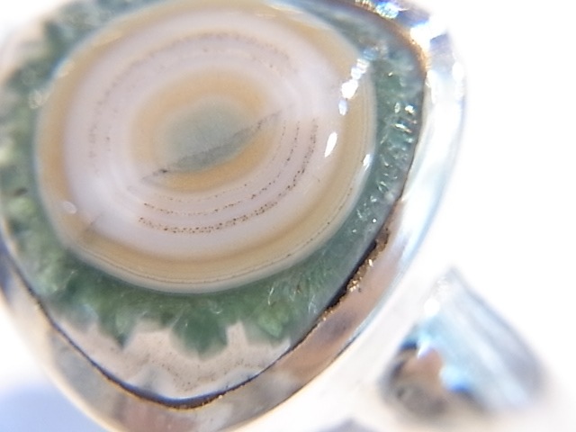 RA00038F����������󥸥㥹�ѡ� ����С����