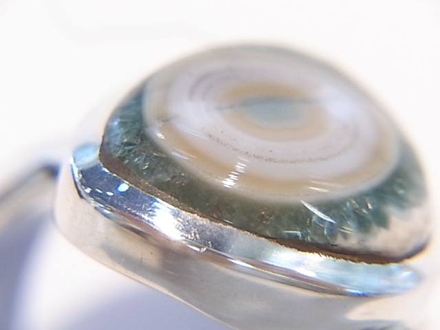 RA00038F����������󥸥㥹�ѡ� ����С����