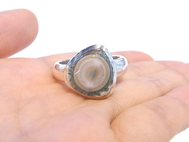 RA00038F����������󥸥㥹�ѡ� ����С����