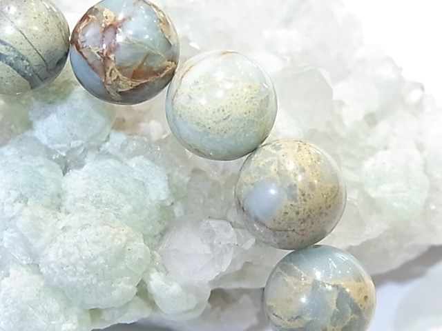 BA00069K������ץ�å���󥸥㥹�ѡ��ʥХꥵ���ȡˡ�12�����̥֥쥹��å�