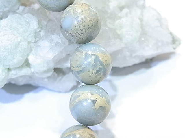 BA00069K������ץ�å���󥸥㥹�ѡ��ʥХꥵ���ȡˡ�12�����̥֥쥹��å�