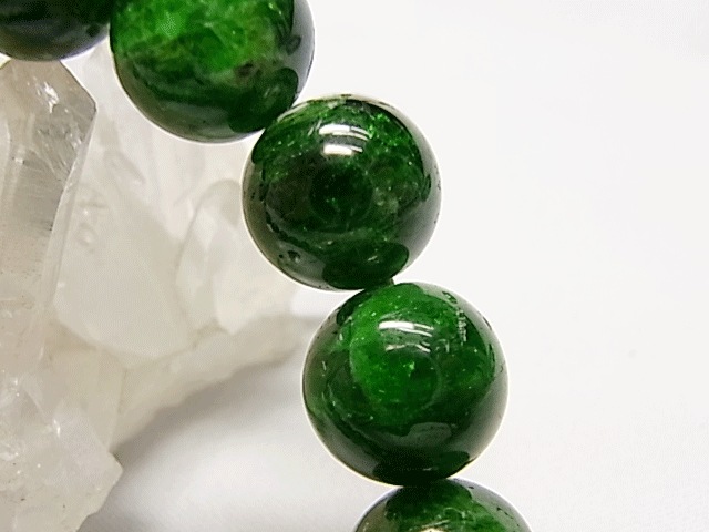 B00502��������������ץ����ȡ��֥쥹