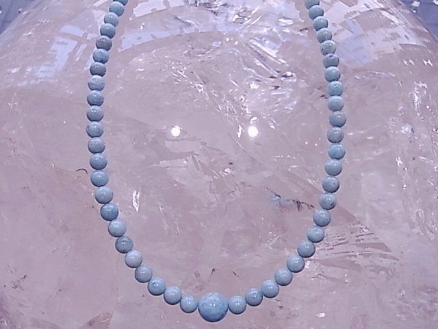 ��P00017NF�����ޡ����ͥå��쥹