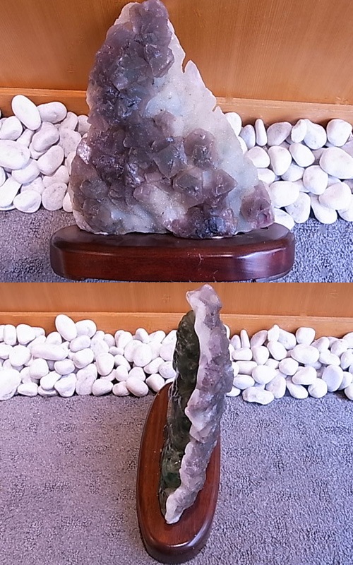 NT00004N���ե����饤�ȡ�ʩ�ˡ�(���դ�)