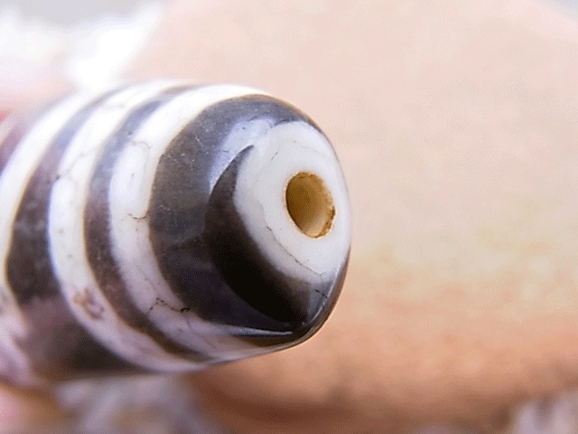 NC00041N�����ŷ��