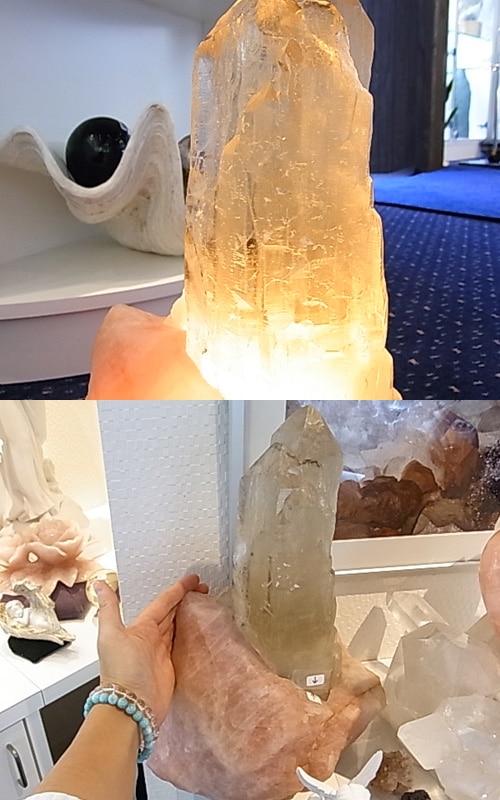 CMM0051F ���ȥ�󥫥ƥɥ�� ���ꥹ�������