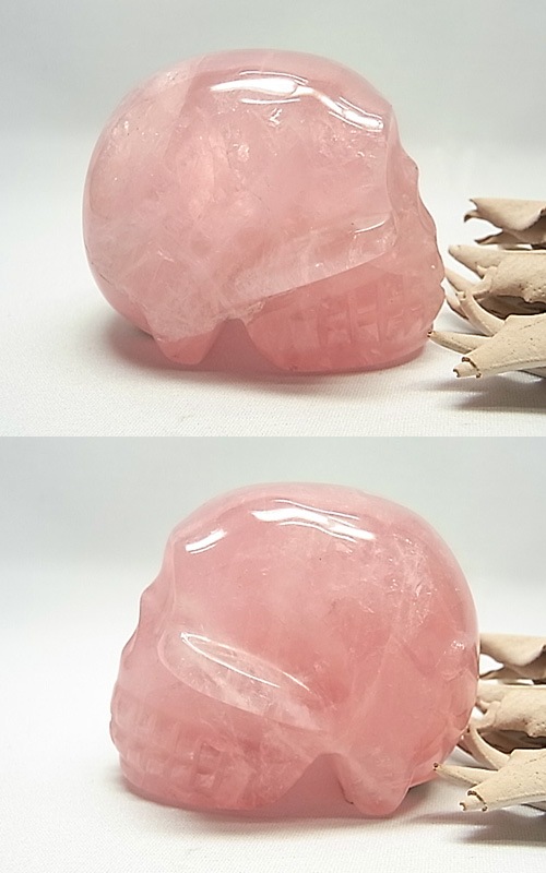 CBM0015 �������������ġ�������