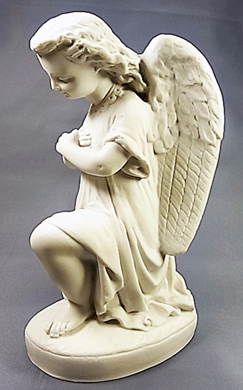 CBM0024 ����Х������� ŷ���������