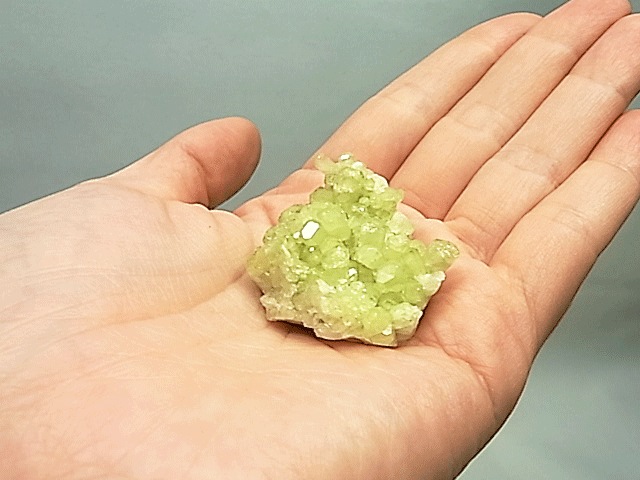 CMM0055�ڵ������С� �٥��ӥ��ʥ���