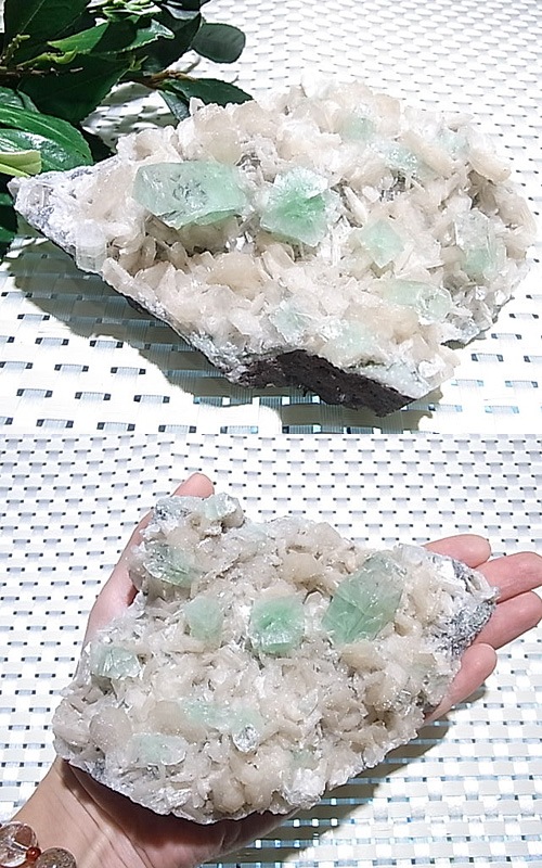 CMM0106N ���꡼�󥢥ݥե��饤�ȡ����饹����