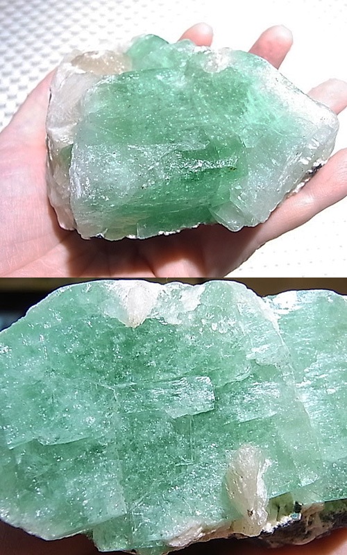 CMM0107N ���꡼�󥢥ݥե��饤��