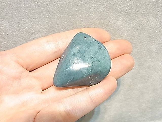 SEM0081F �ե��󥻥�֥롼�������� ����֥�