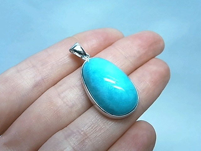 PM0179 �֥롼���ޥ��ʥ��� �ڥ����ȥإå�