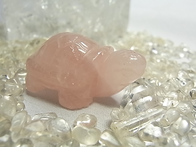 ��������������<����>