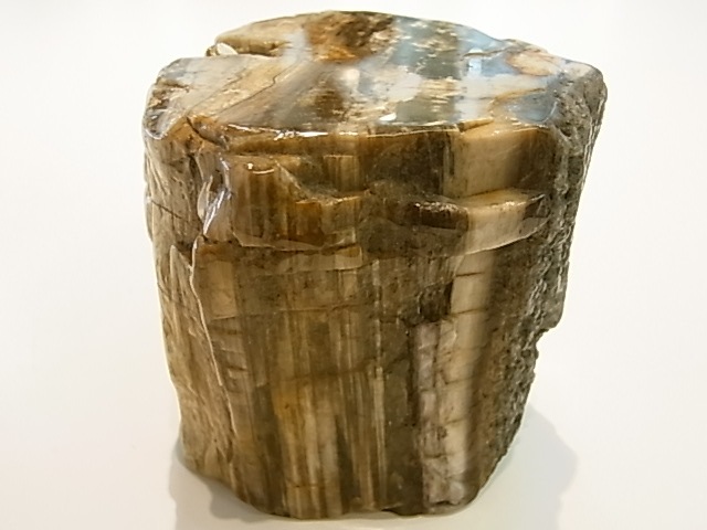 GK00015F  �ڥȥ�ե����ɥ��åɸ��С��ڴ����С�