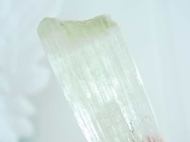 GK00033F ���ȥ�ե����󡡸��С��ڴ����С�