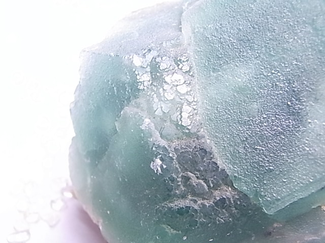 GF0027 ���꡼��ե����饤��