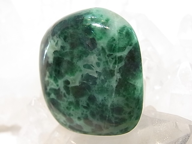 TK00012F ���������ȡ�����֥롡�ڴ����С�