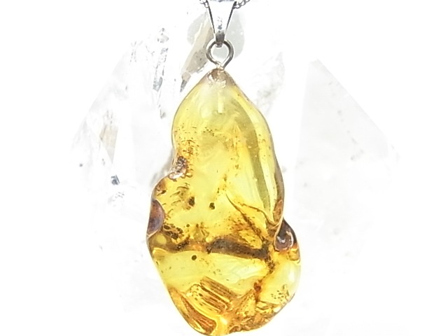 PF0089  ����С�