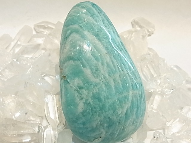 PRK00015F ���ޥ��ʥ��ȡ� �ݥ�å��塡(�ޥ��������뻺)