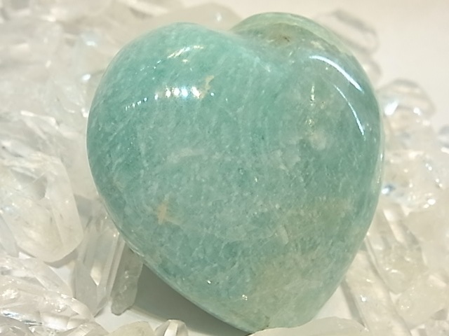 PRK00016F ޥʥȡ ϡȷݥå塡(ޥ뻺)