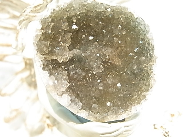 GY0007F �ɥ��롼�����������ġ����륰�������ʥ��졼��