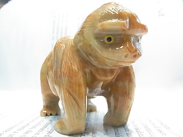 CY0021F �����ץ��ȡ���[�����]