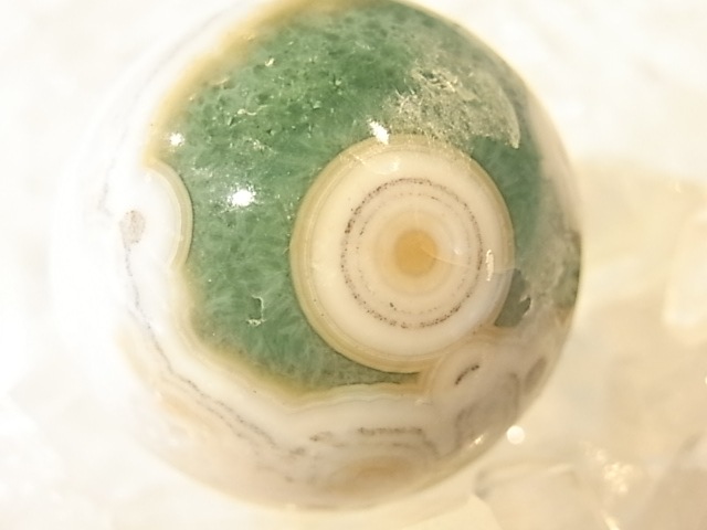 ��K0002��F ��������󥸥㥹�ѡ����ݶ�