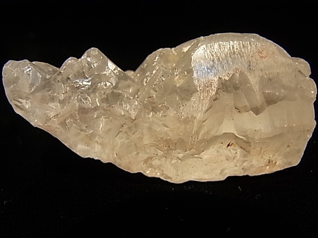 GK00071F �ҥޥ��徽�����������ꥹ���� ����