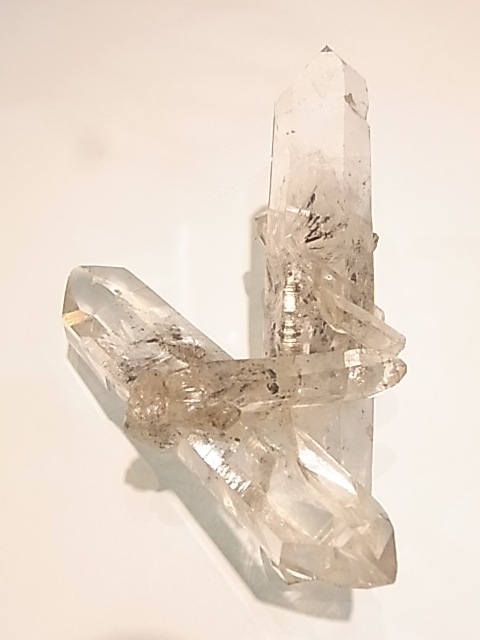 TG000015T�����٥åȥ������ġ�����