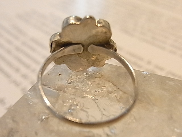 RK0011F ˥ѥˡ롡  (ϥɥᥤɡ²)