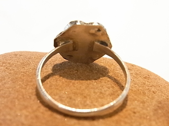 RK00126F ���������������˥���������������ѥ��ˡ����������������롡 ��� (�ϥ�ɥᥤ�ɡ�����²)