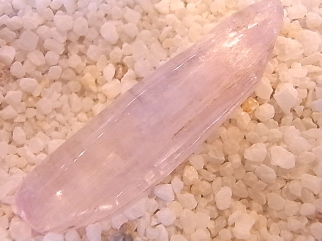 BU0114F������ĥ����ȸ���