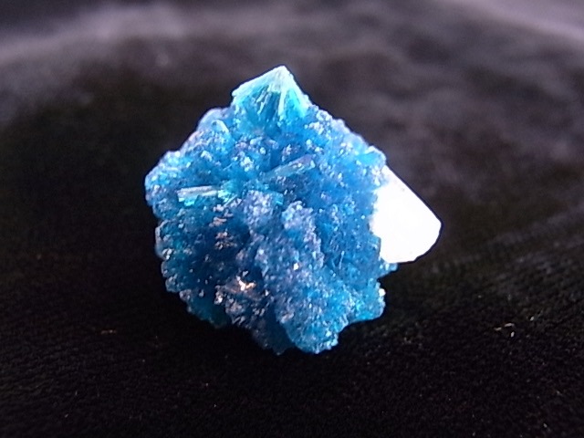 BU0125F ���Х󥵥��ȸ��С�����ɻ�