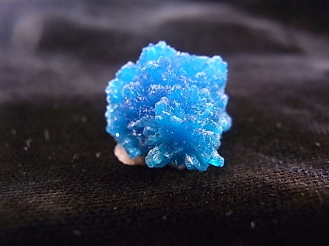 BU0127F ���Х󥵥��ȸ��С�����ɻ�