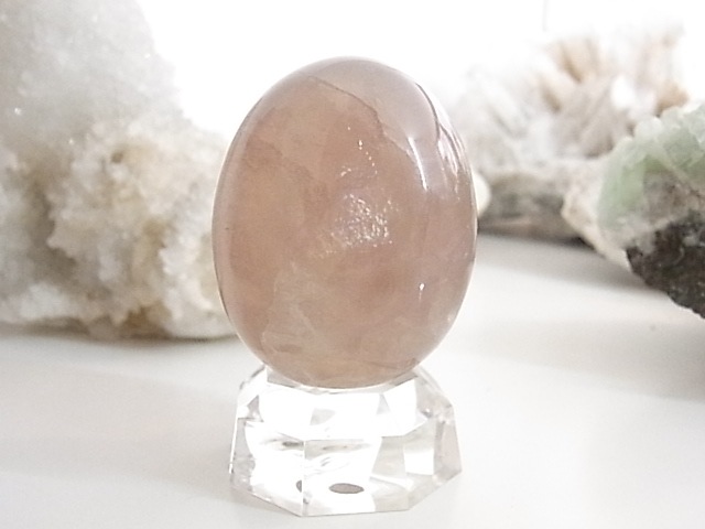 BU00134F �ե����饤�� ���å�