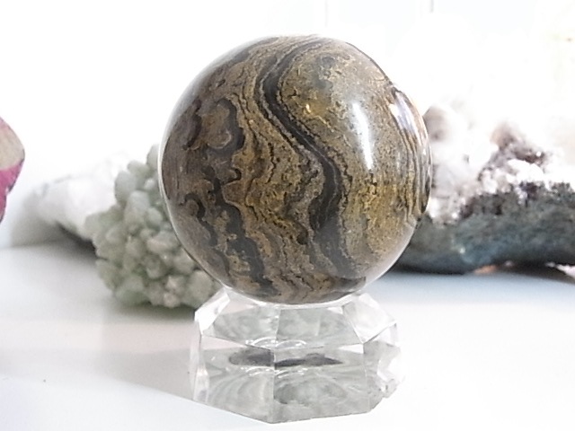 BU00175�����ȥ��ޥȥ饤�ȡ��ڥ롼��