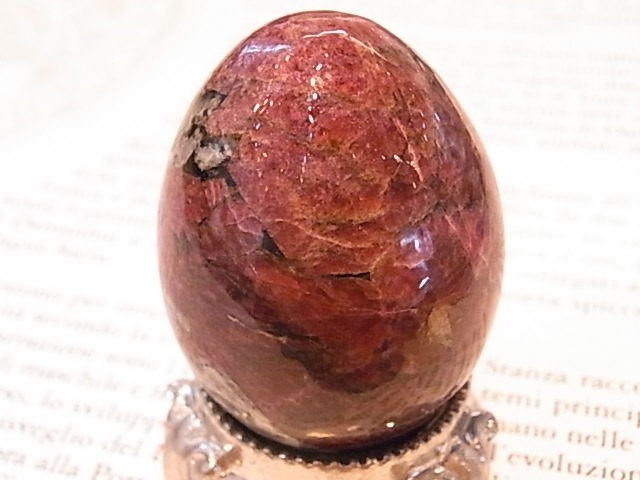 EK00029F ������Т�桼�ǥ����饤�ȡ����å���(��������)