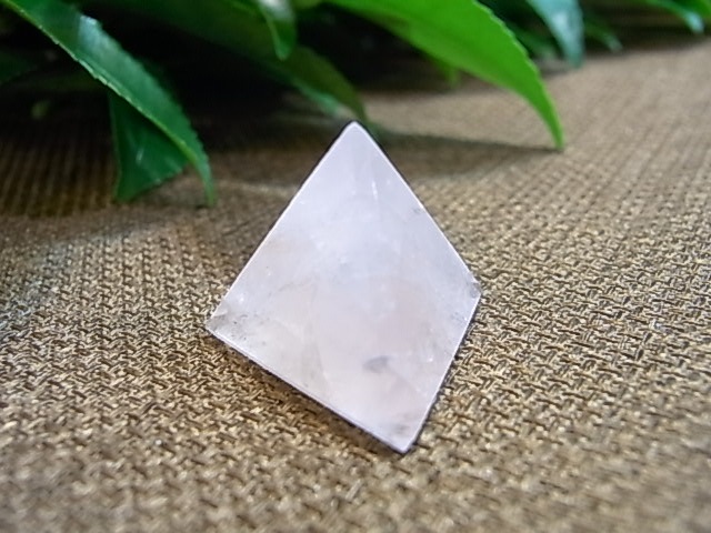 UE00094K �ץ�ȥ�Ω�Ρ�5�ĥ��å�