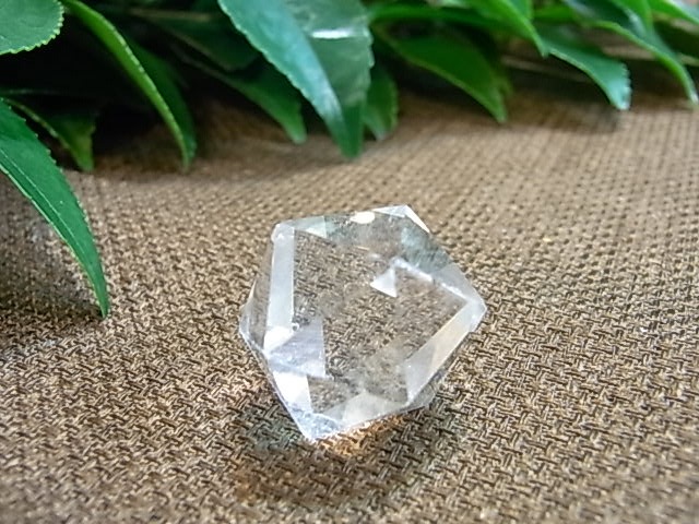 UE00095K �ץ�ȥ�Ω�Ρ�5�ĥ��å�