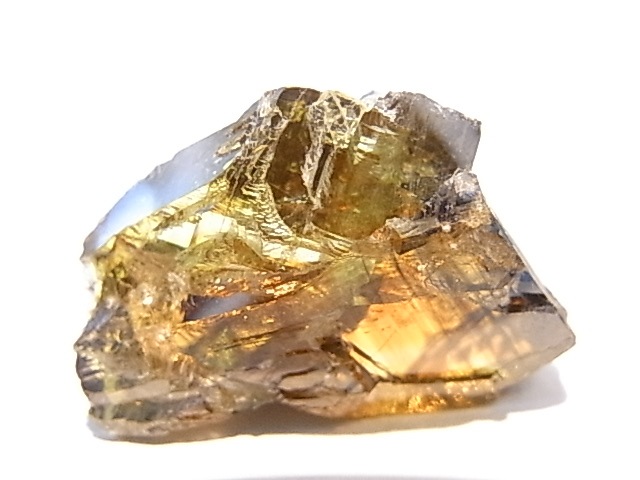 K00269F ե饤ȡСڴС(֥륬ꥢ)