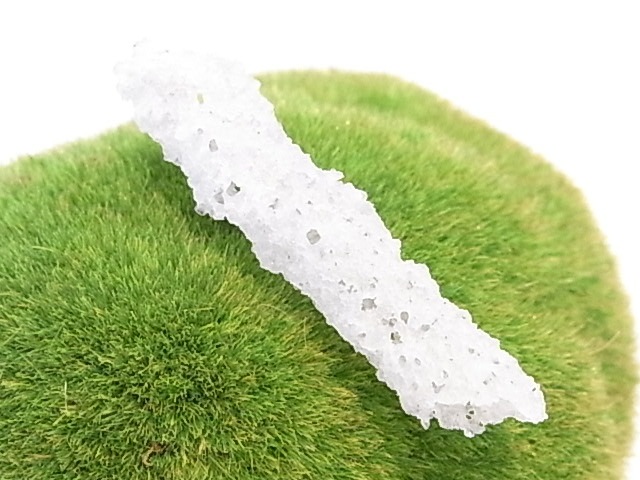 BU00207F �ե륰�饤��