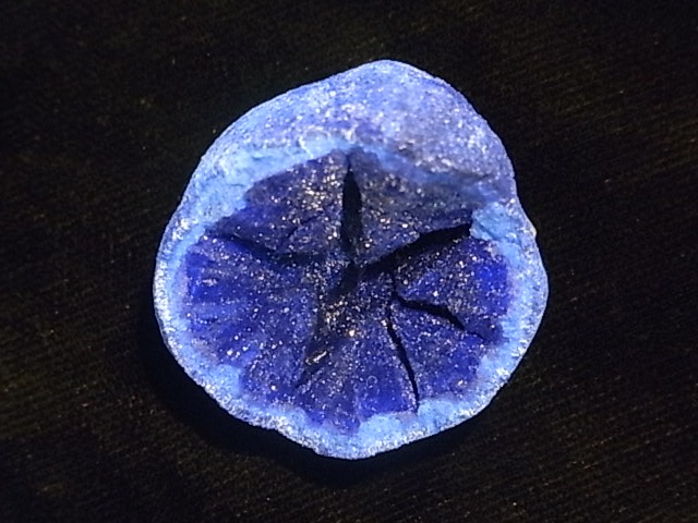 GA0004F �������� �����饤�ȸ���