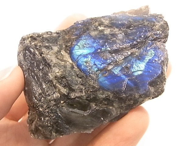 GA0008F �ե�����ɻ� ���ڥ��ȥ��饤�� ����